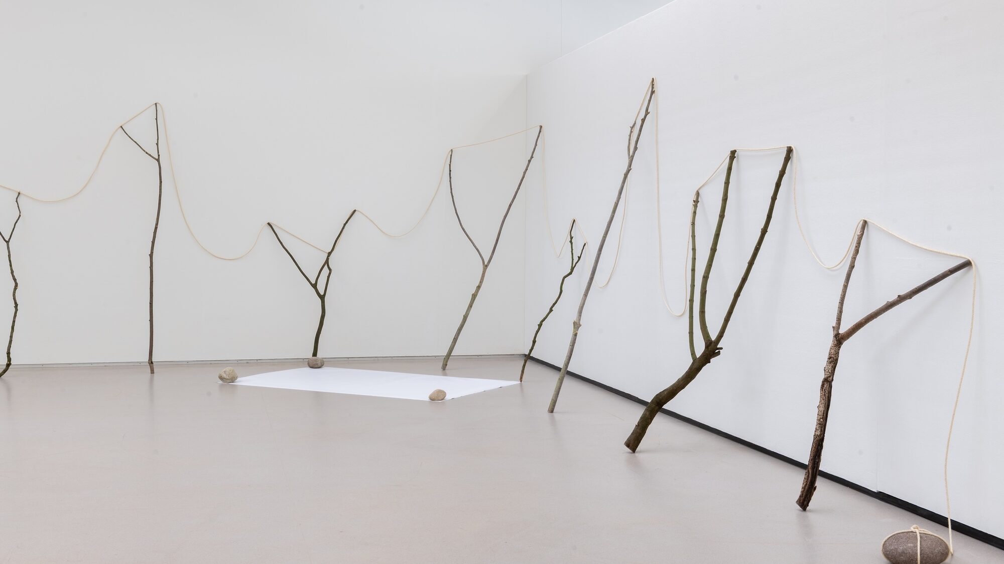 Kunstwerk van Kishio Suga. Boomtakken staan ongeveer 1 meter uit elkaar en zijn verbonden door een touw.