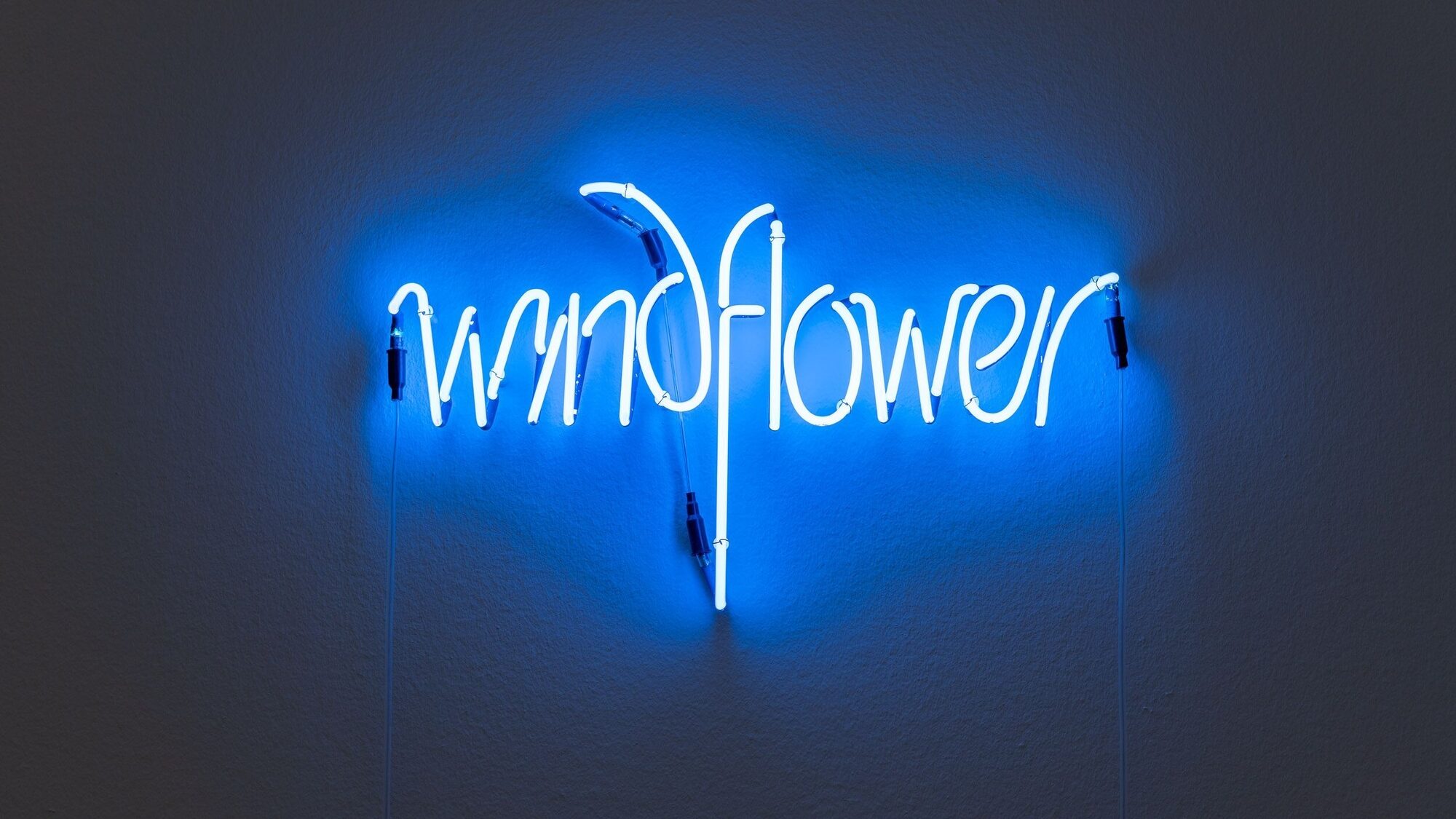 Large KM 121 179 Ian Hamilton Finlay Windflower 1975 photo Marjon Gemmeke 2