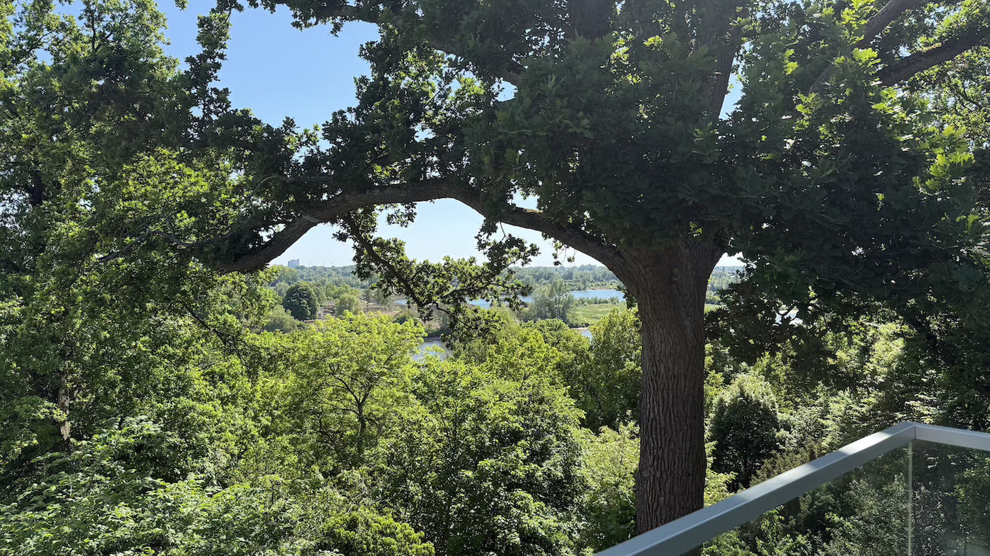 Museum arnhem uitzicht