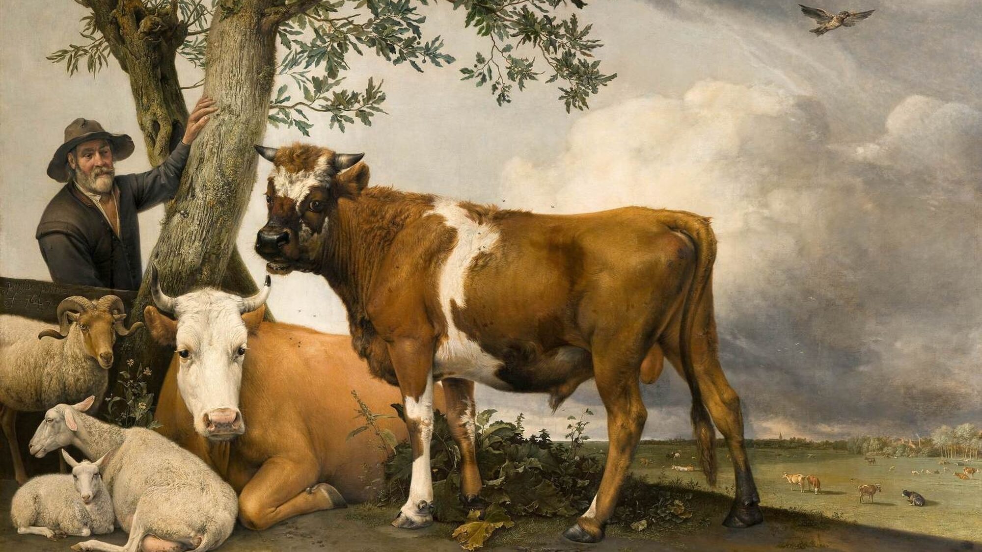Dit is een van de bekendste schilderijen van Paulus Potter. Op de voorgrond zien we een herder met zijn vee, twee stieren, twee geiten en een bok, op een heuveltje naast twee bomen staan. Op de achtergrond is er een dramatische lucht te zien. Er zijn grijze wolken die schaduwen op het landschap schilderen. Rechts boven in de lucht vliegt een vogel.