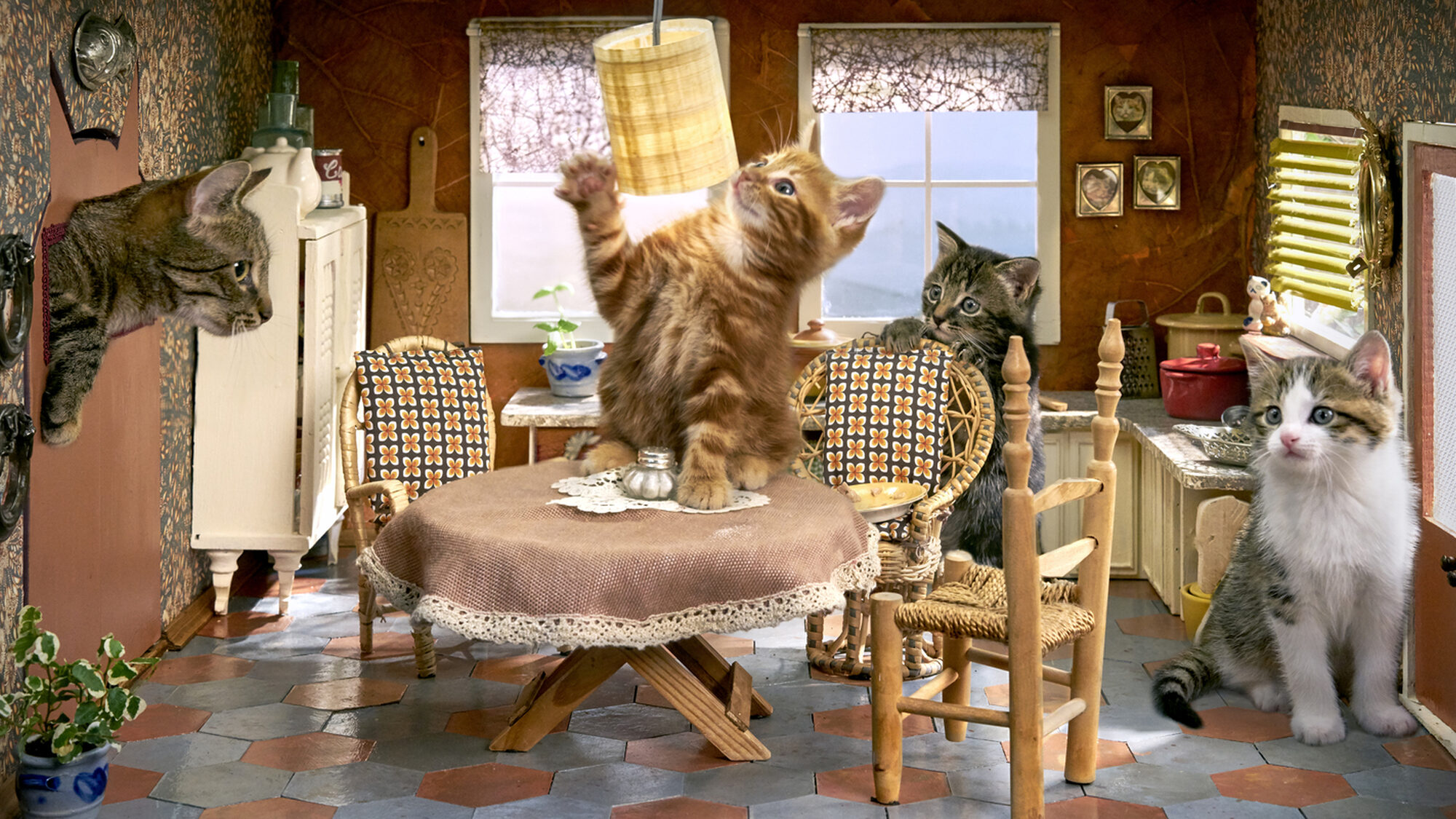 Kittens in een poppenhuis