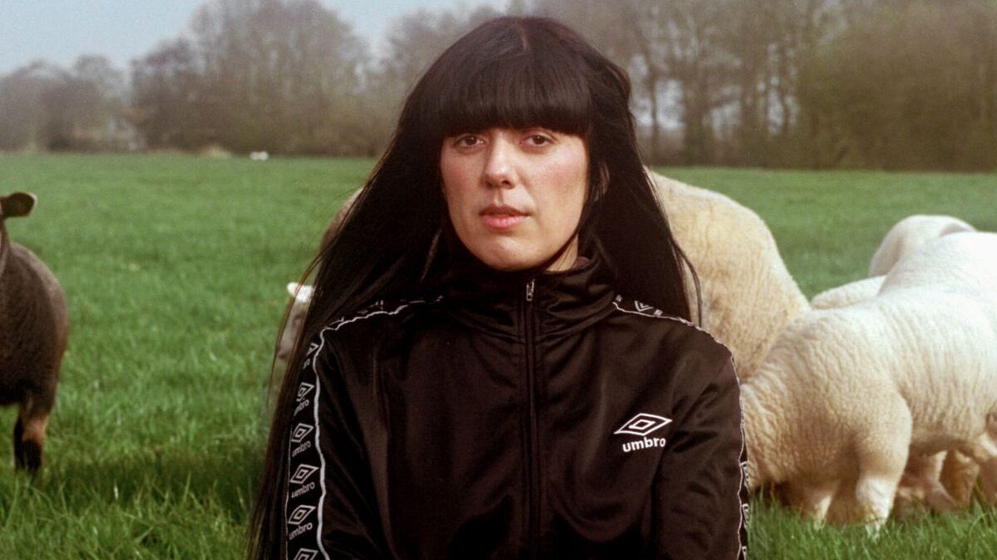 Iraanse vrouw zit in een Fries weiland met schapen