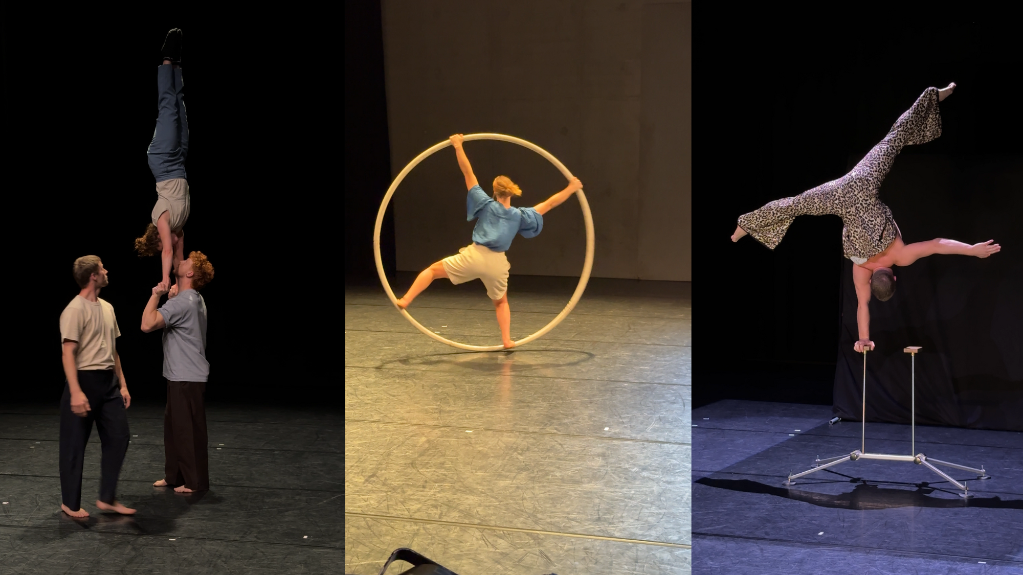 3 foto's naast elkaar. Links zie je iemand die een handstand doet op iemand anders en een derde persoon kijkt ernaar. Op de middelste foto zie je een vrouw middenin een groot wiel, waar ze helemaal inpast en instaat. Rechts zien we weer Nick die een handstand doet op 1 hand in zijn tijgerprintpak.
