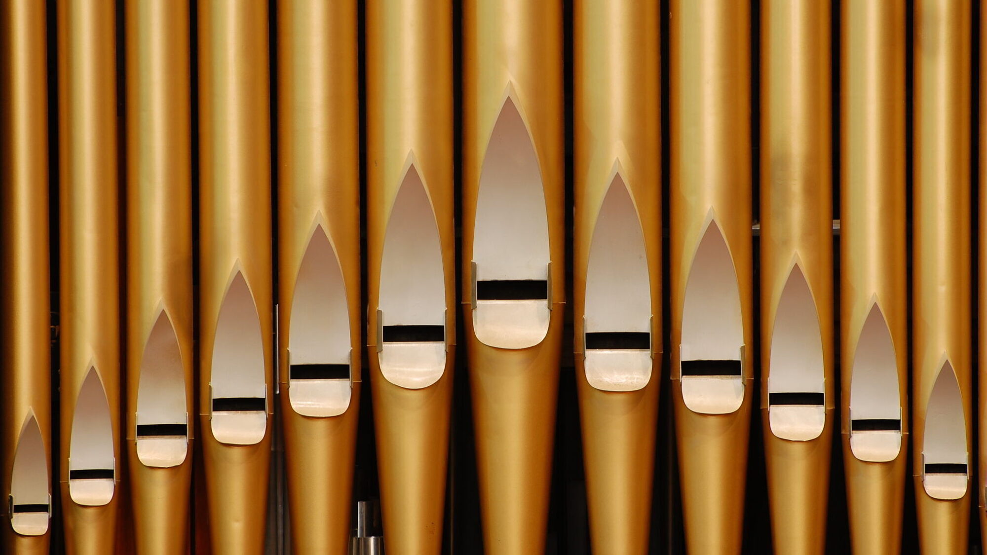 Orgel