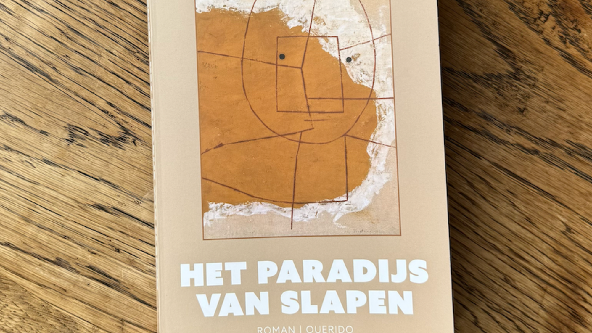 Een foto van het boek. Het is een bruin boek met een vierkant waarin een tekening van een giraffe staat. Daarboven staat in witte letters 'JOOST OOMEN' en eronder staat in dezelfde witte letters 'HET PARADIJS VAN SLAPEN'