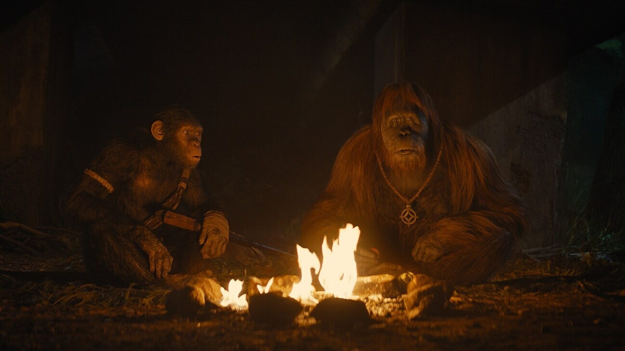 Monke 1