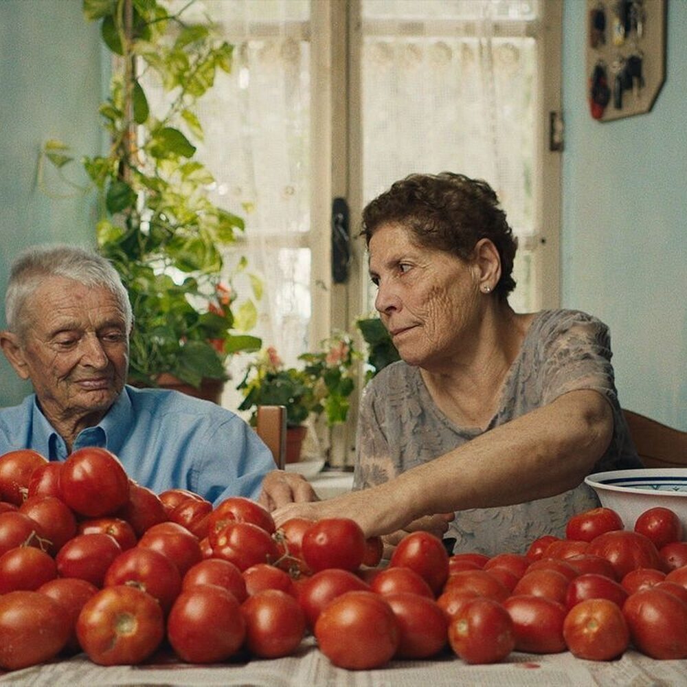 Oude man en vrouw zitten aan een tafel vol tomaten