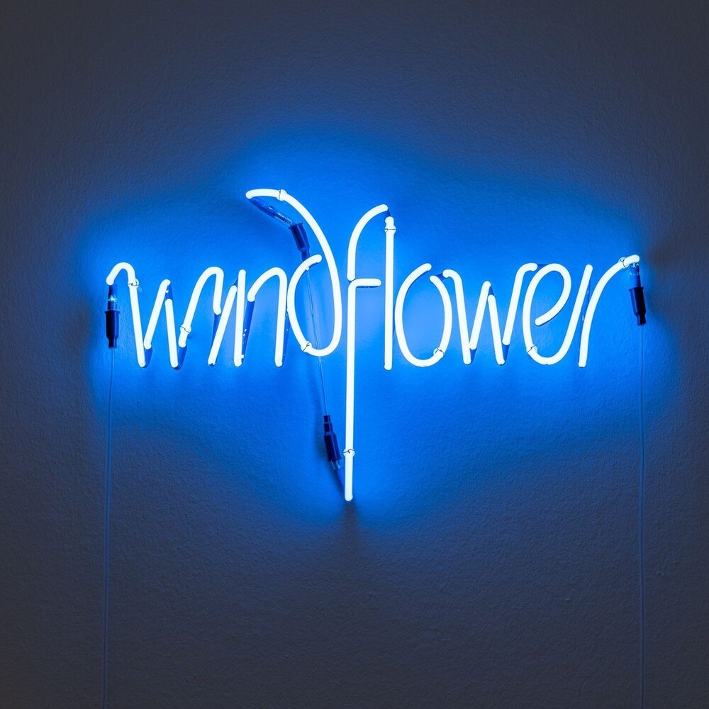 Large KM 121 179 Ian Hamilton Finlay Windflower 1975 photo Marjon Gemmeke 2