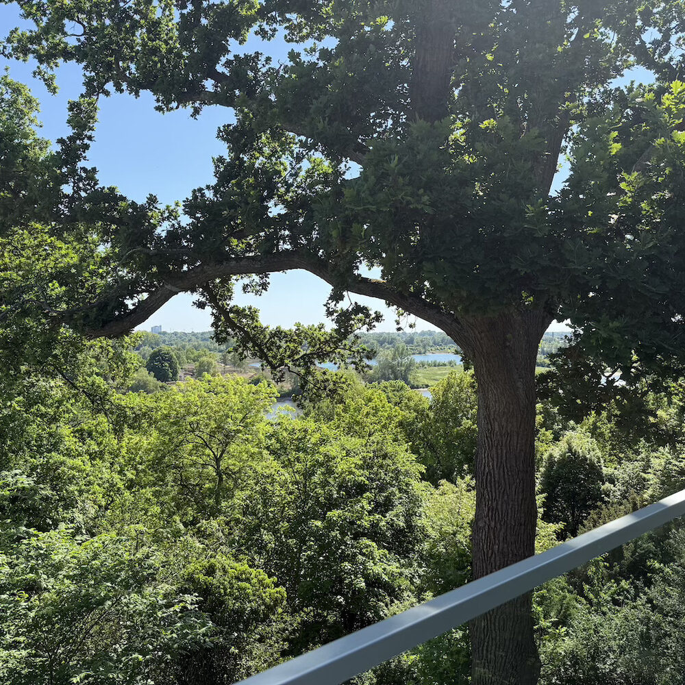 Museum arnhem uitzicht