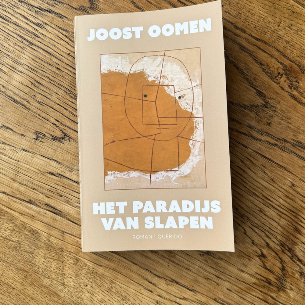 Een foto van het boek. Het is een bruin boek met een vierkant waarin een tekening van een giraffe staat. Daarboven staat in witte letters 'JOOST OOMEN' en eronder staat in dezelfde witte letters 'HET PARADIJS VAN SLAPEN'