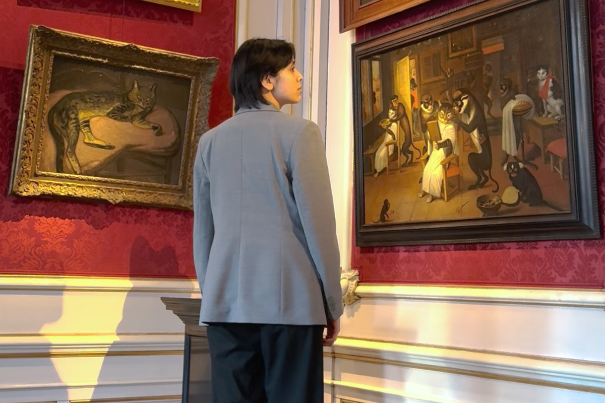 Redacteur Seshiekela staat voor een hoge muur in een Amsterdams grachtenpand. Aan de muur hangen allerlei oude schilderijen met kattenkunst eraan.