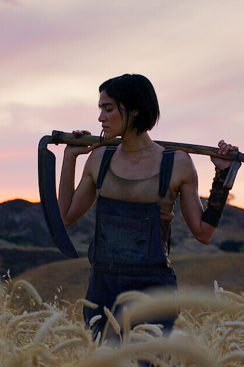 10305 reviews rebel moon 5 1703075519