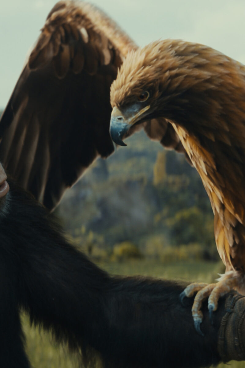 10800 reviews Kingdom of the Planet of the Apes st 5 jpg sd high 2023 20th Century Studios All Rights Reserved 1715173512