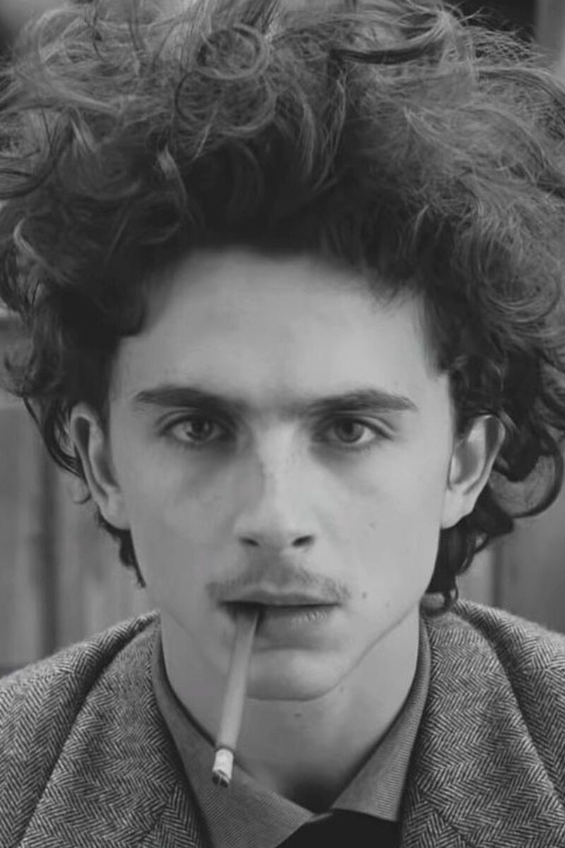 1245 reviews timothee chalamet the french dispatch 1634719325