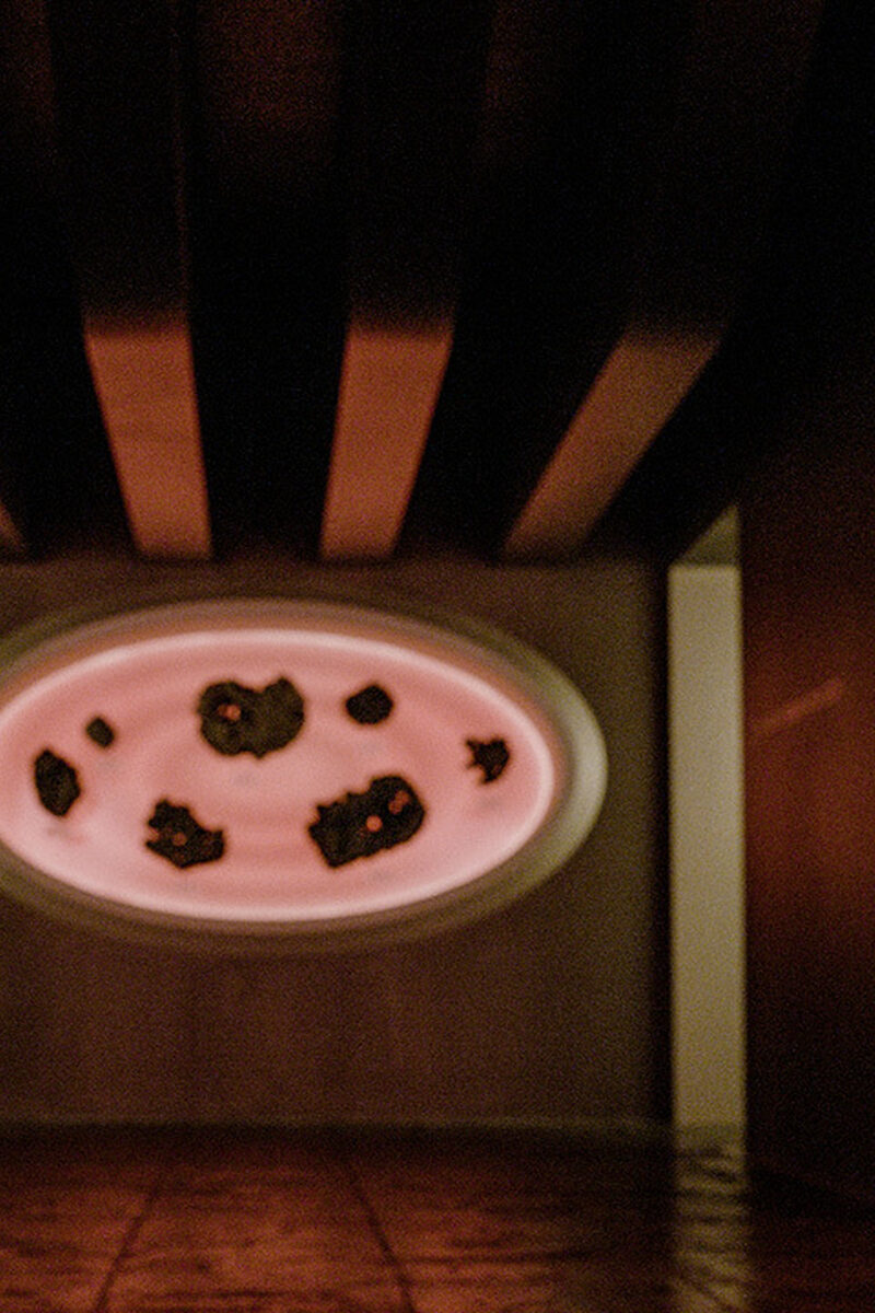 143 reviews thumbnpo 1497459903