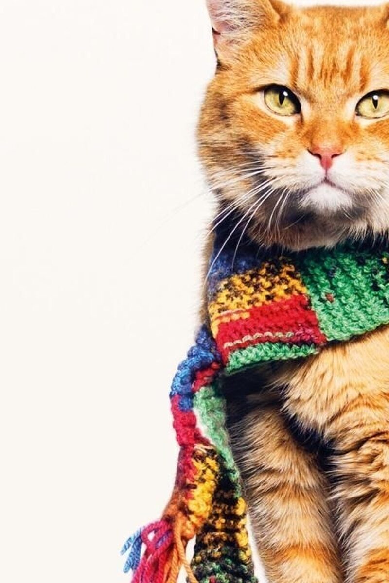 146 reviews v Od M9 AJ Rmonn J4h CA4o Nb Y My5fu 1497460053