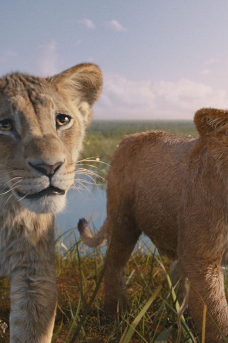 15222 reviews Mufasa The Lion King OV st 8 jpg sd low 2024 Disney Enterprises 1734480886