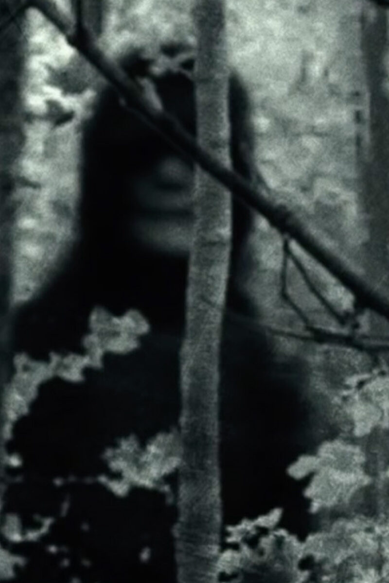 167 reviews The Bye Bye Man Review Movie Idiots NPO 1497460298