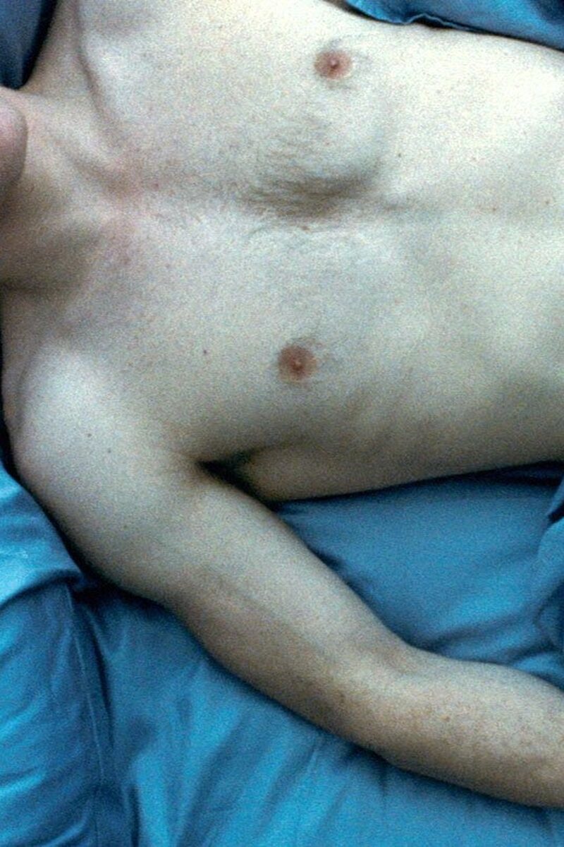 177 reviews shame michael fassbender 1497460379