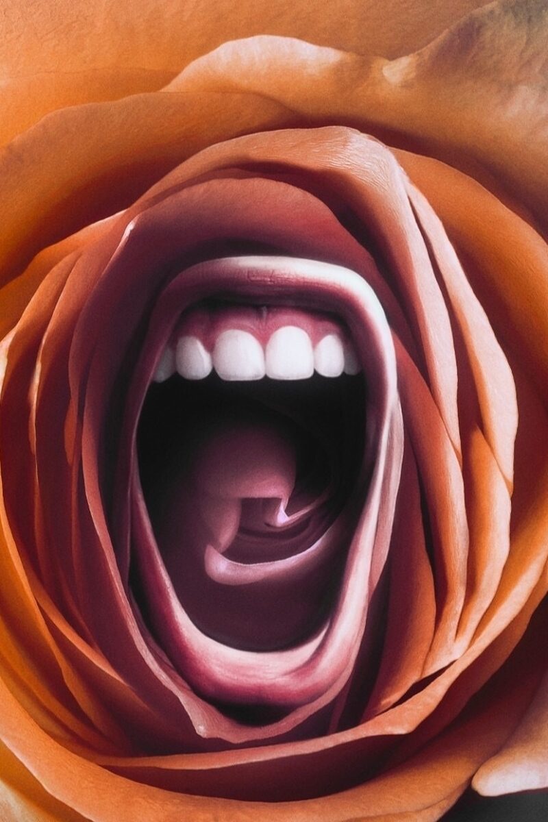 1663 reviews Roar 1655388396