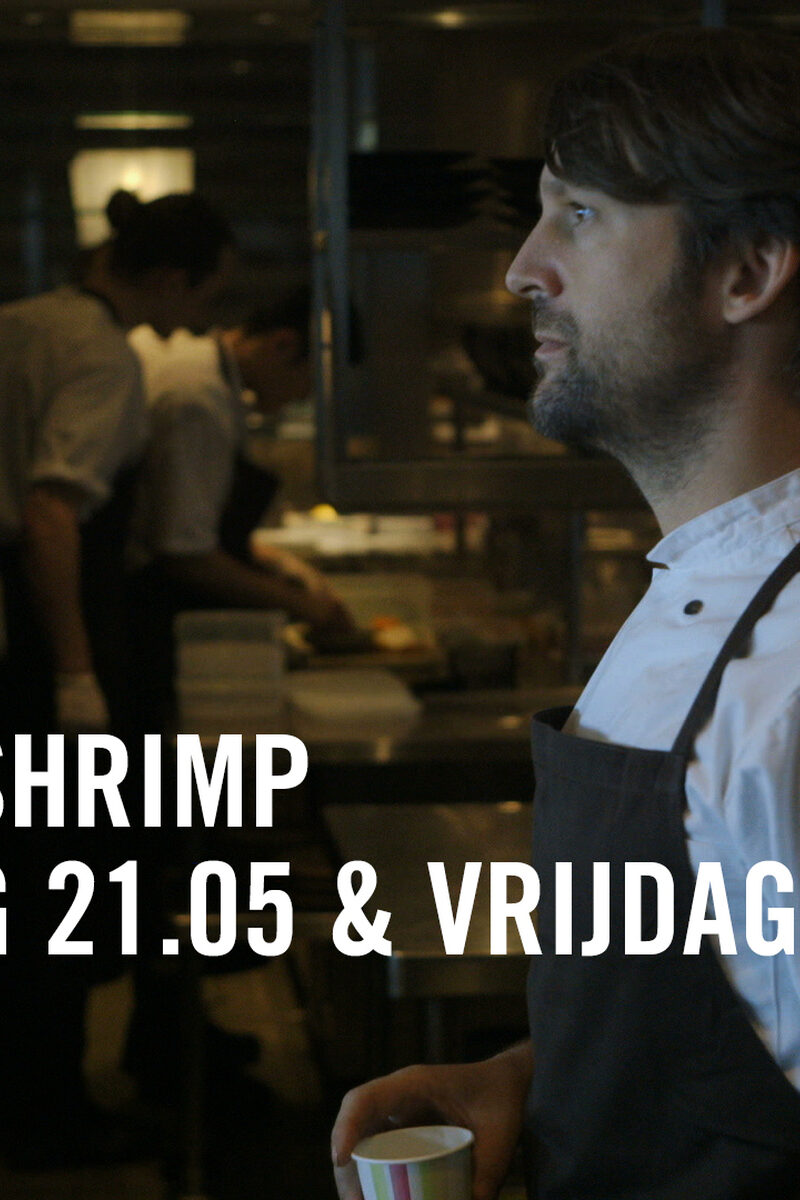 303 reviews Ants on a Shrimp II 1497462559