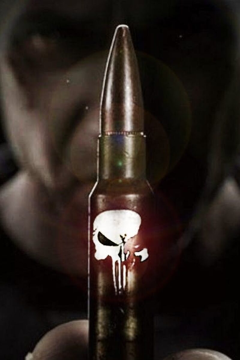 388 reviews Punisher Netflix Poster copy 1511253921