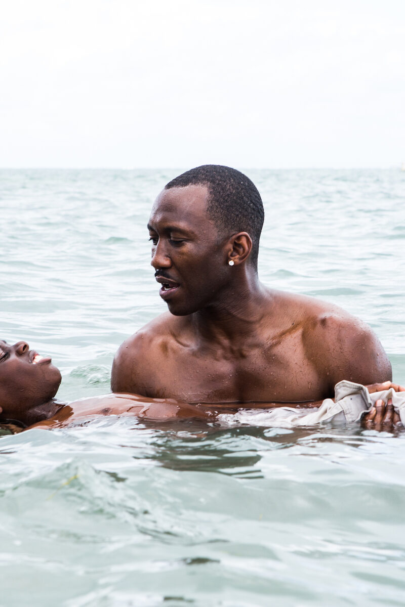 398 reviews Unknown 1513161276