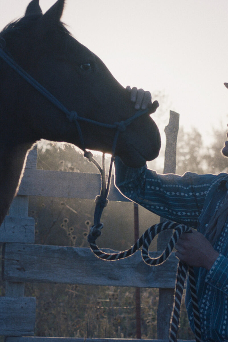 455 reviews The Rider st 4 jpg sd high 1524041509