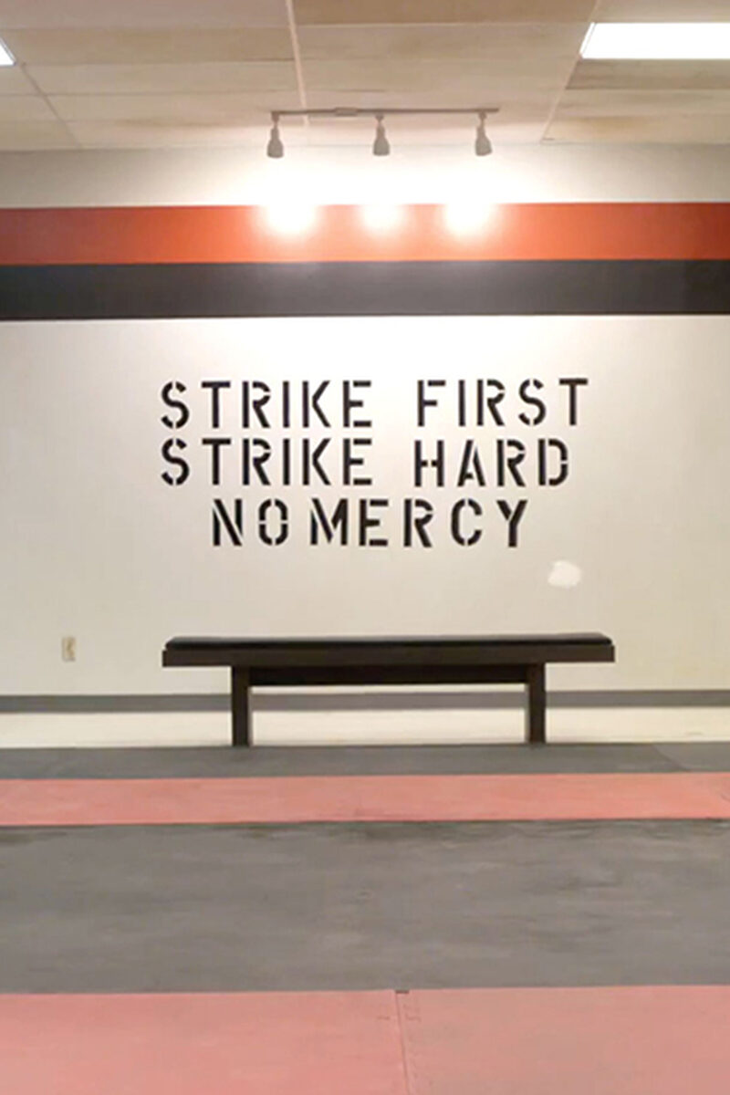 479 reviews Cobra Kai 1527414296