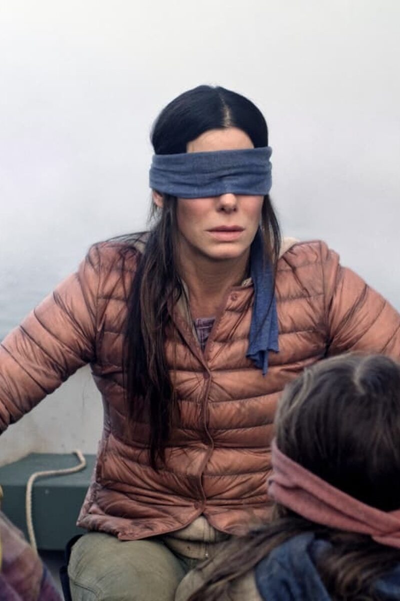601 reviews bird box 1546688299