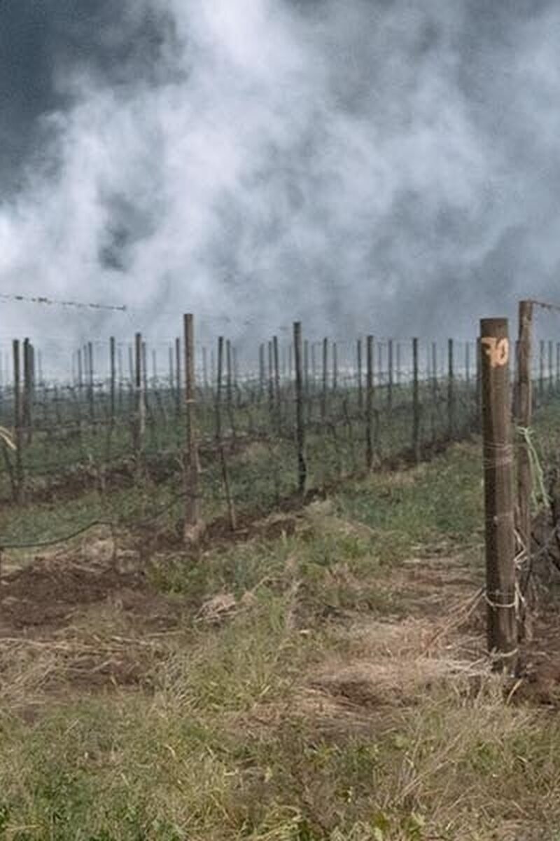 61 reviews fear the walking dead episode 207 nick dillane madison dickens post 1600x600 1497458914