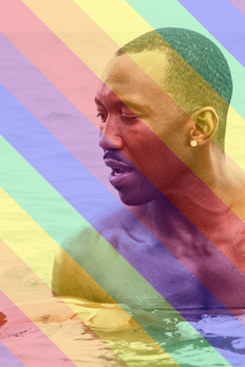 702 reviews Header moonlight 1563442445