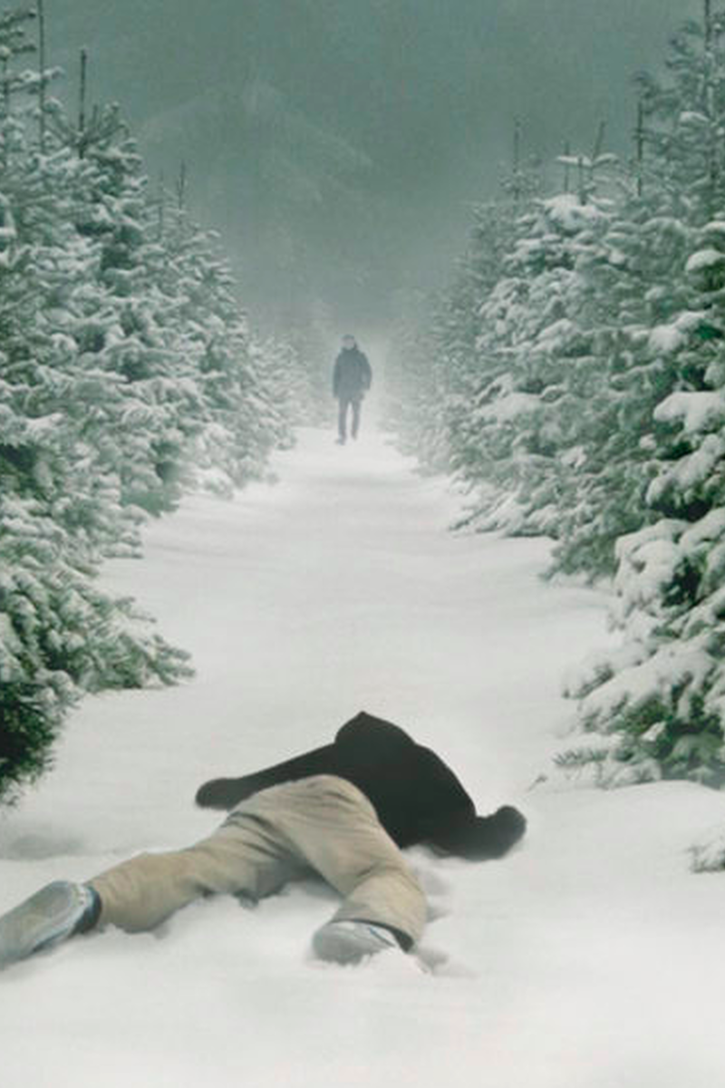 762 reviews Wisting 1574084616