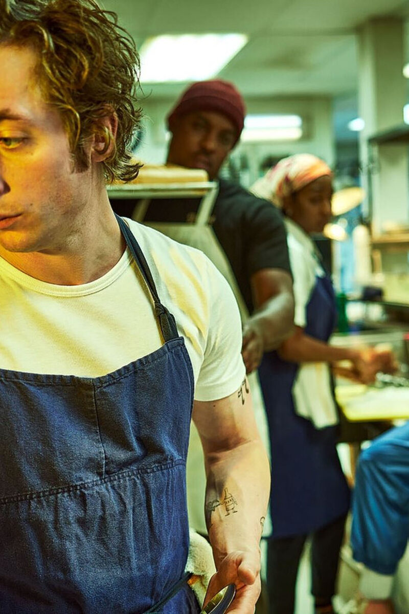 8259 reviews the bear 1705399950