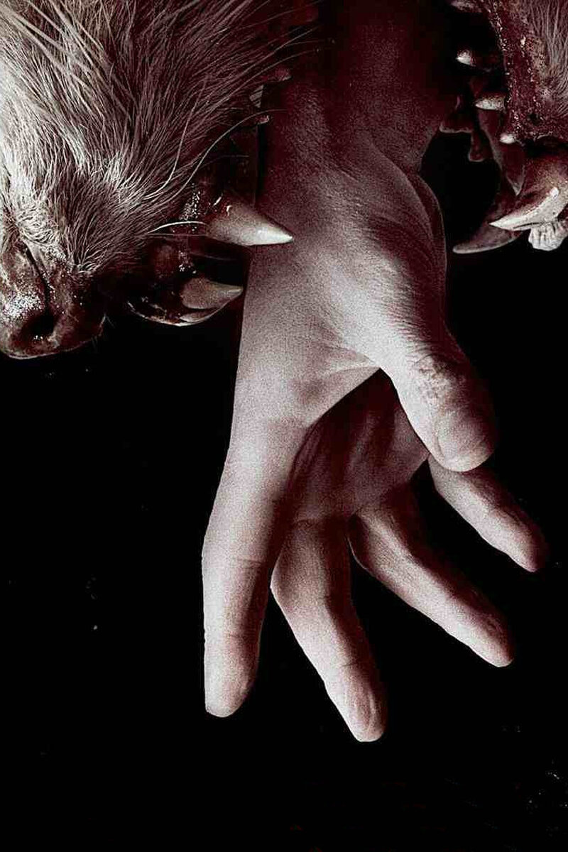 962 reviews Hemlock Grove 1 1603183399