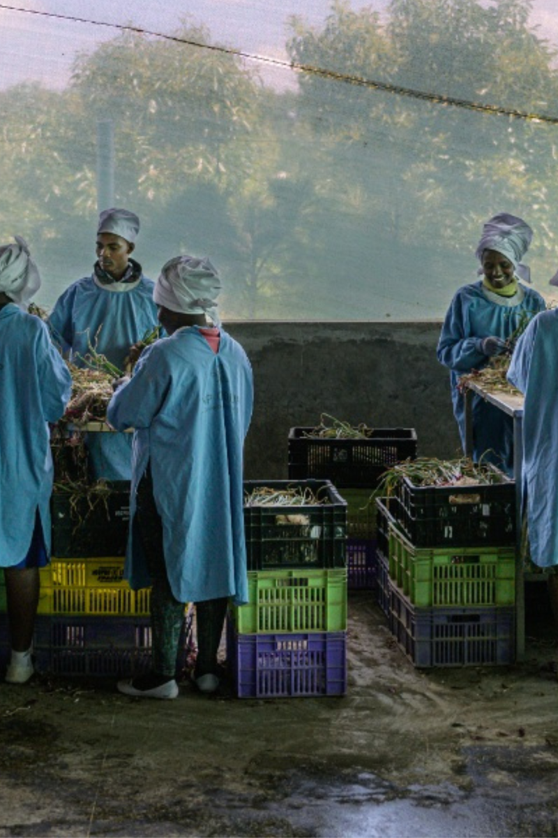 COVER Food for Thought