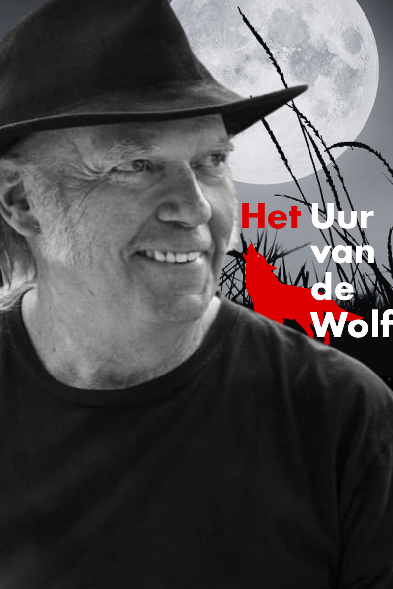 Formaat Cover Website 7