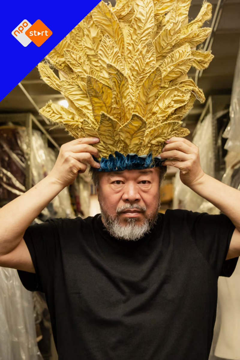 Cover bij ai weiwei