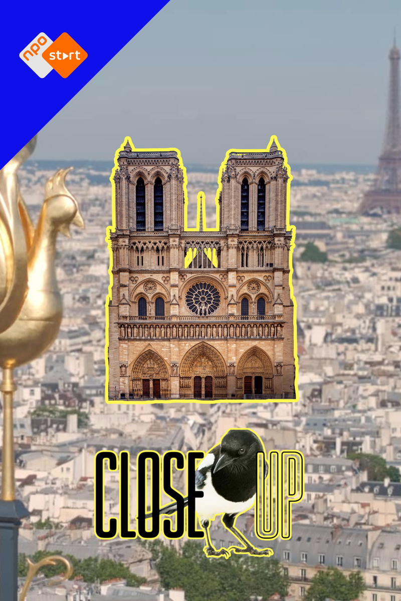 Cover close up website artikel