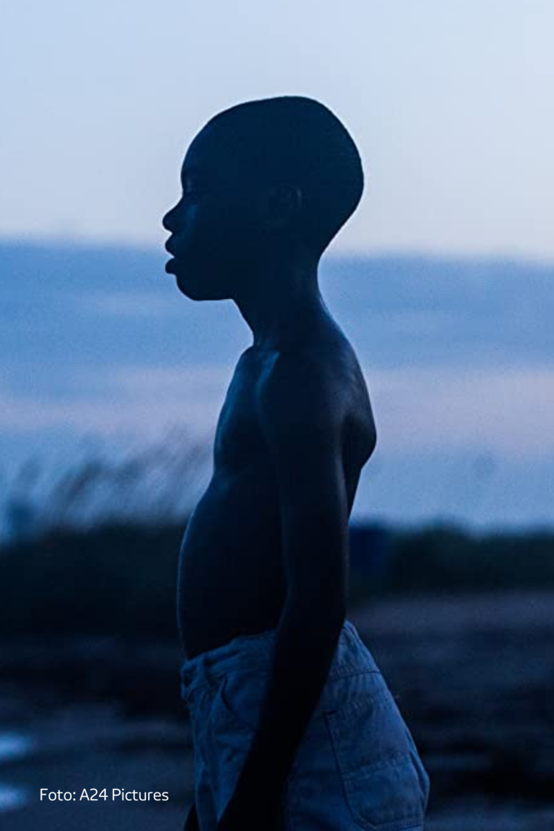 Cover moonlight