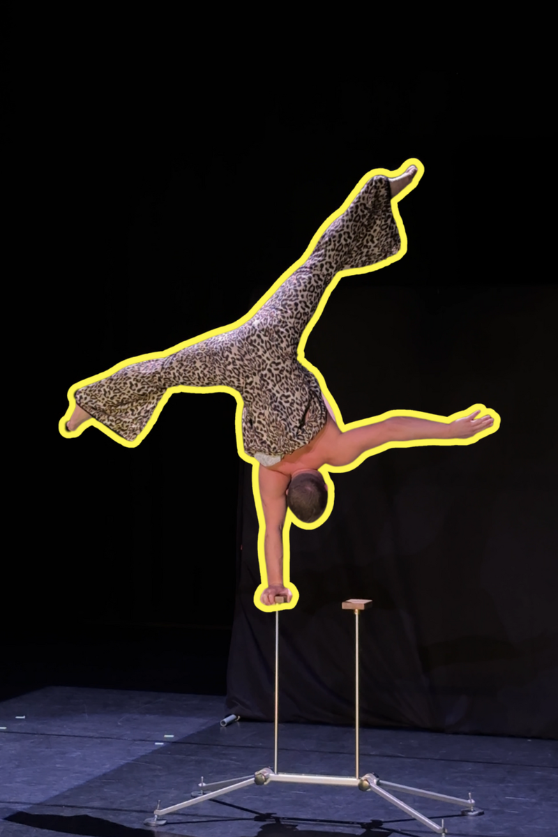 Cover website nick house of circus