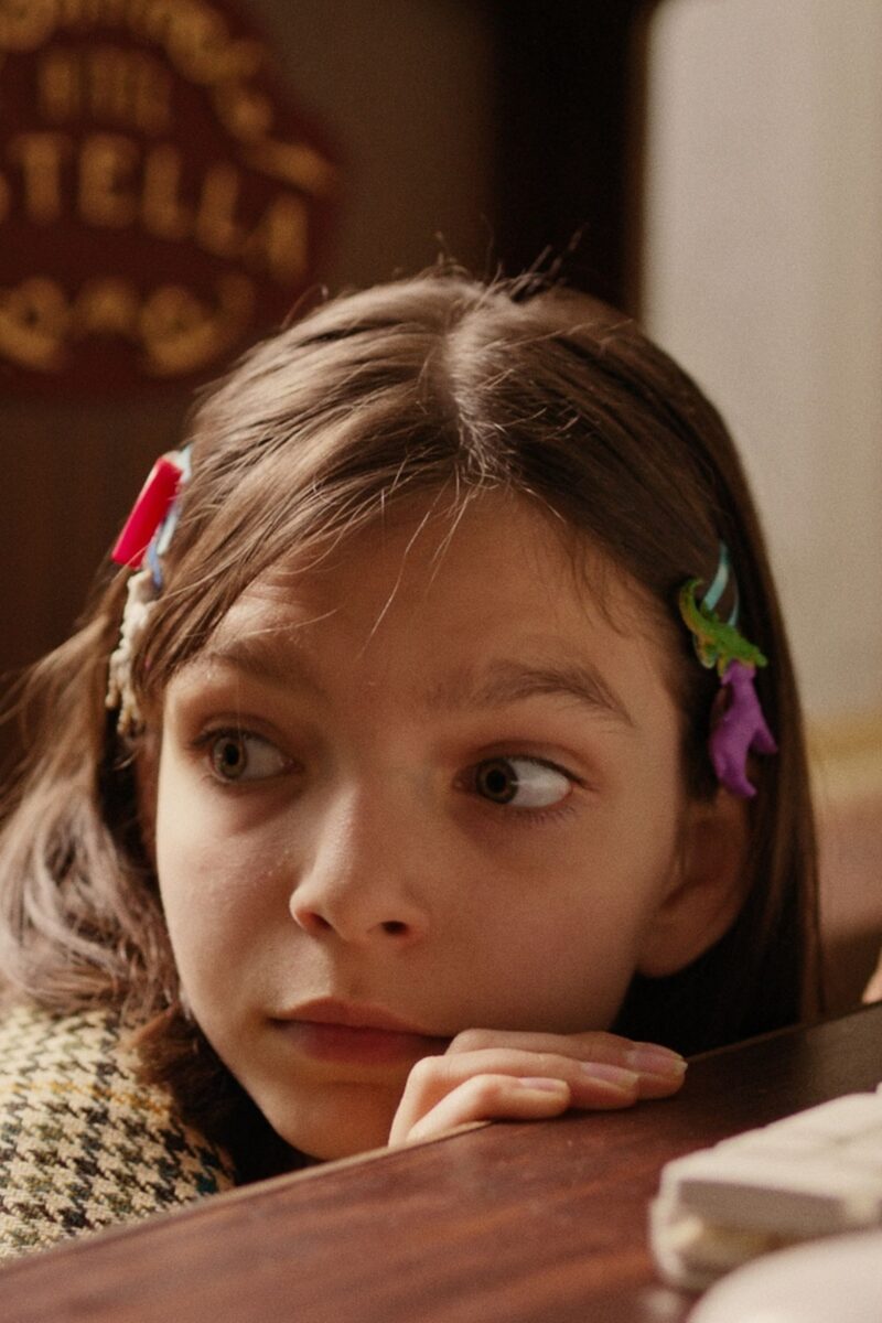 De kleine hoteldetective cover