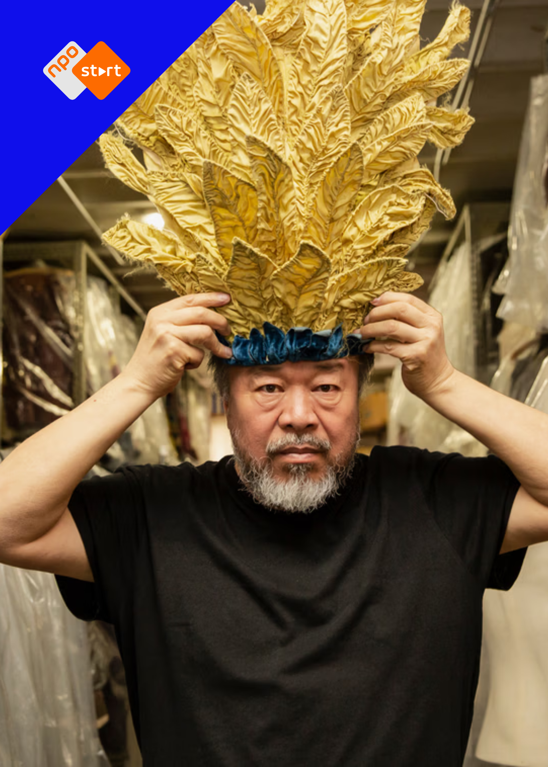Cover bij ai weiwei