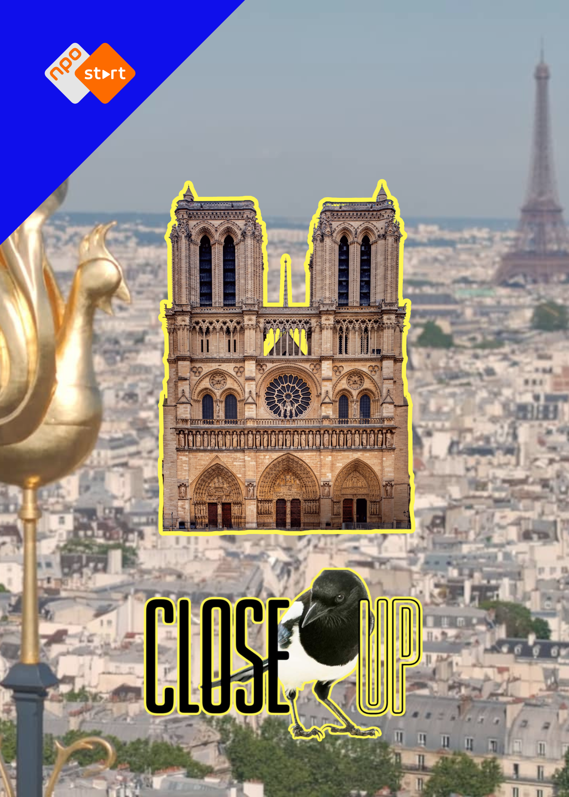 Cover close up website artikel