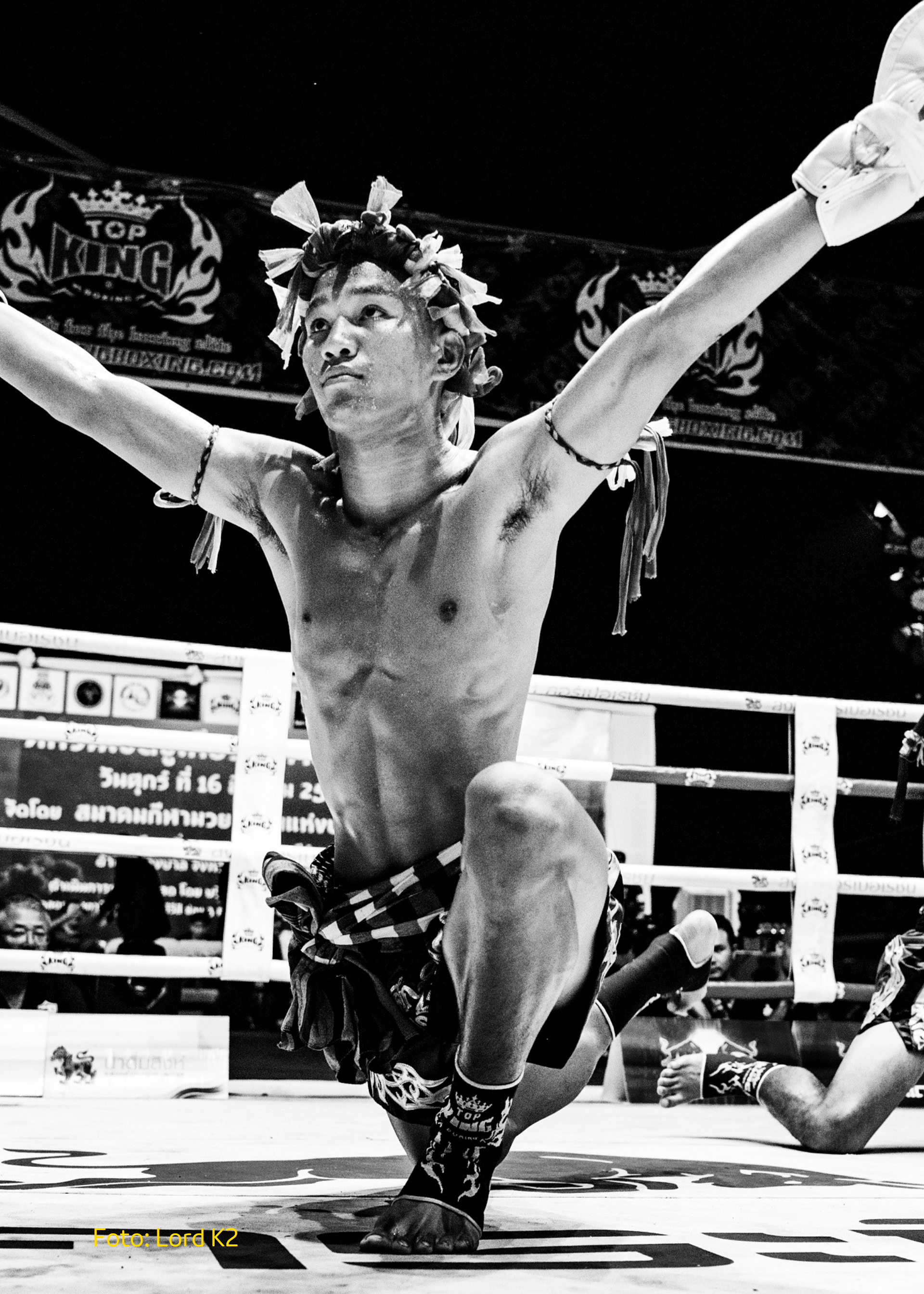 Cover martialarts