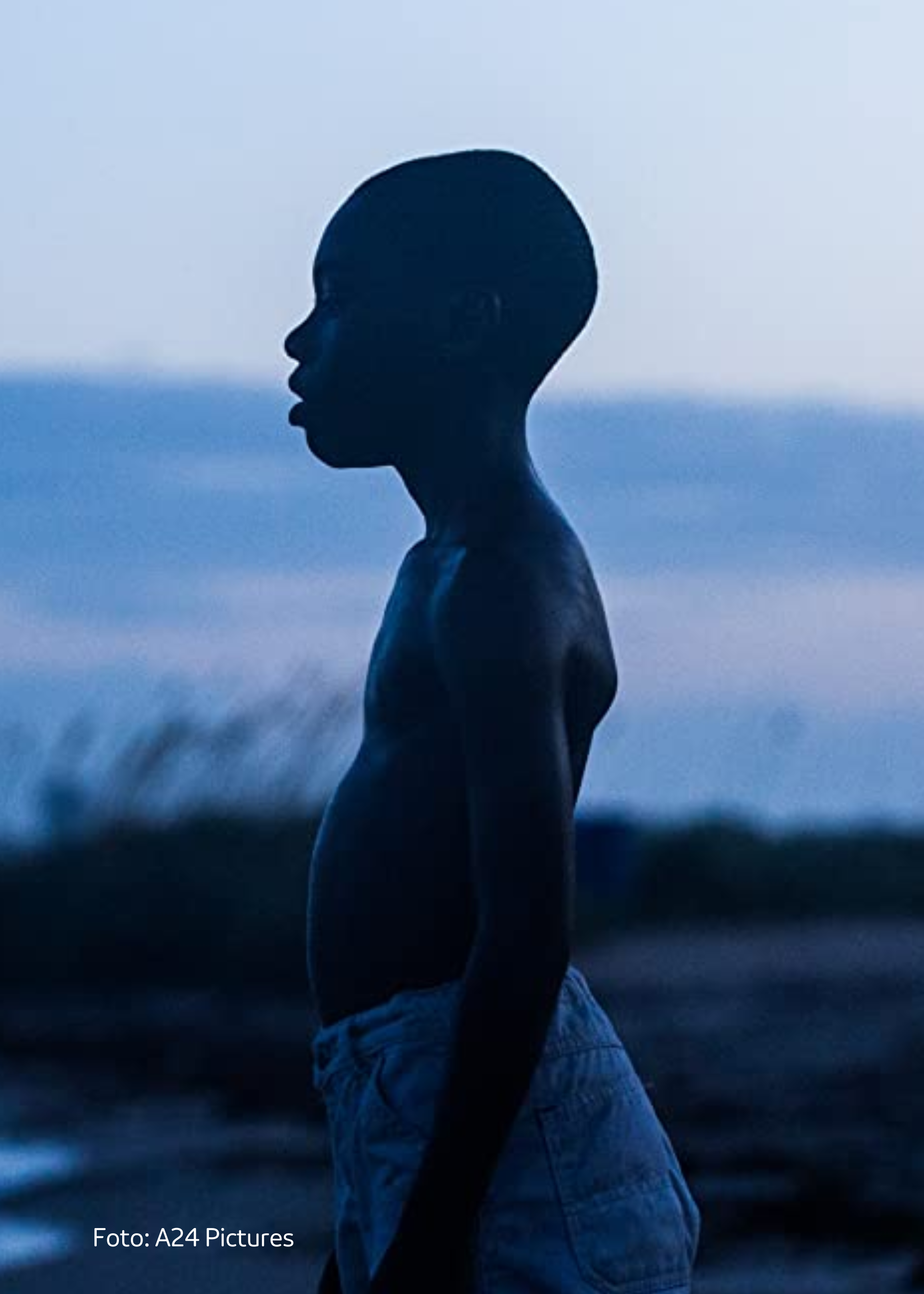 Cover moonlight