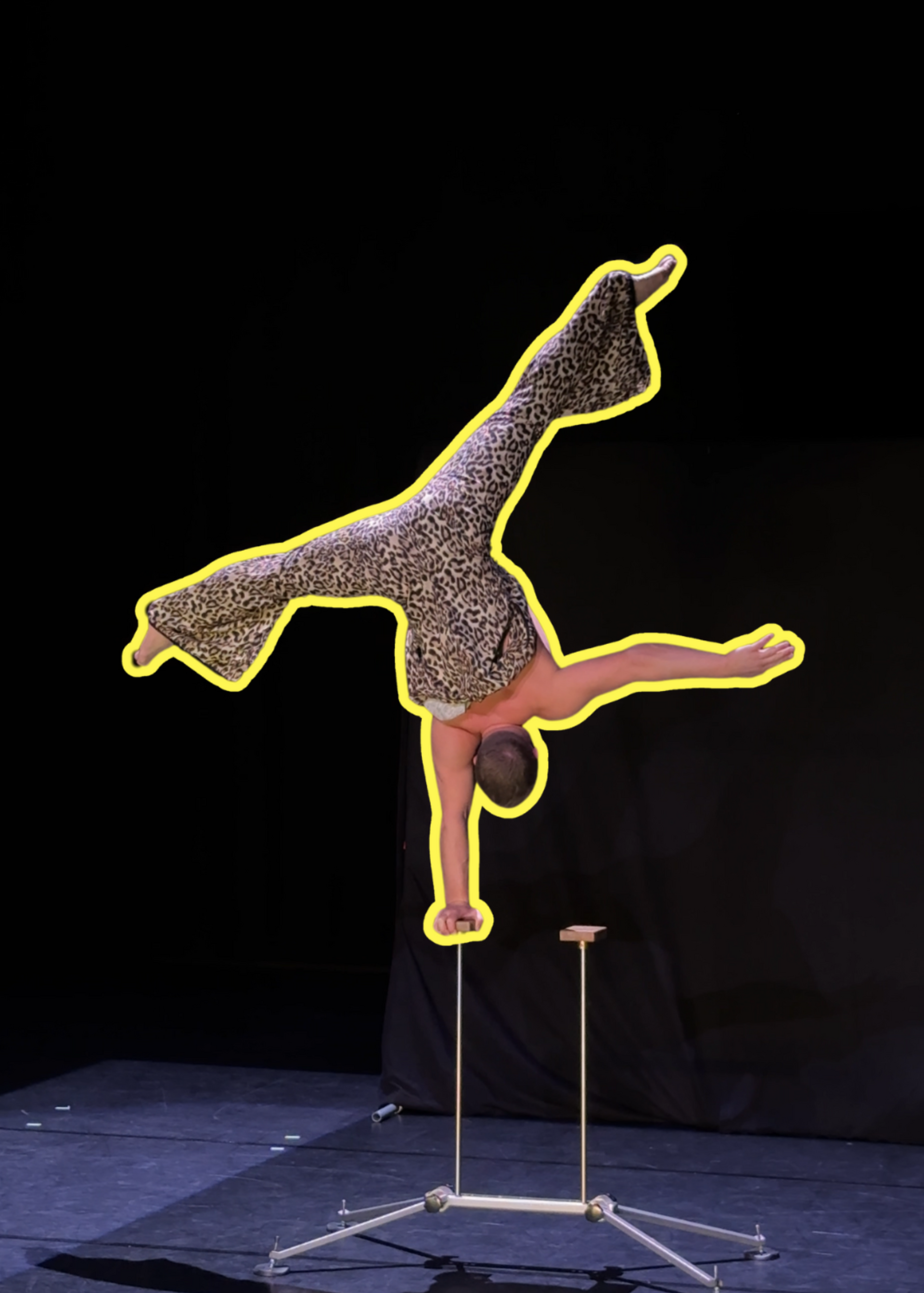 Cover website nick house of circus