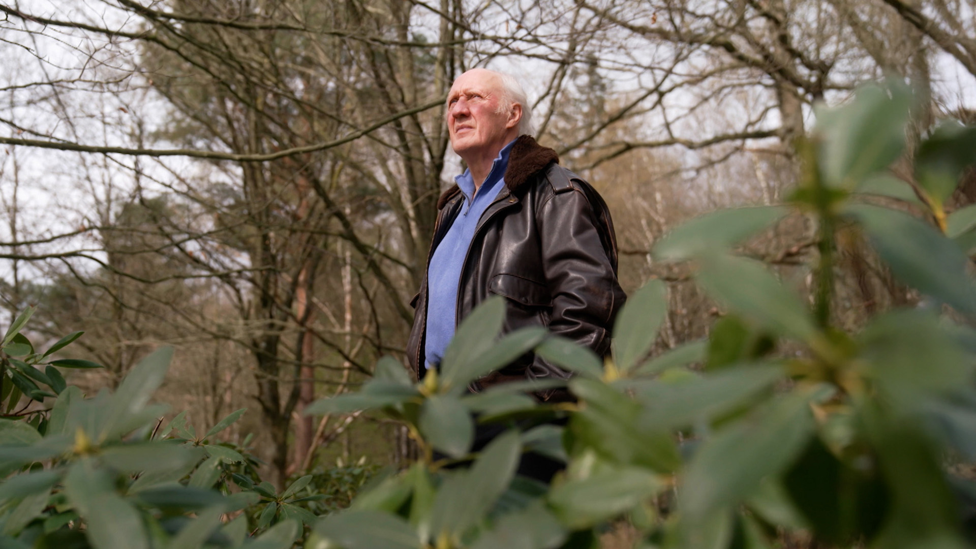 Herman van Veen in het bos
