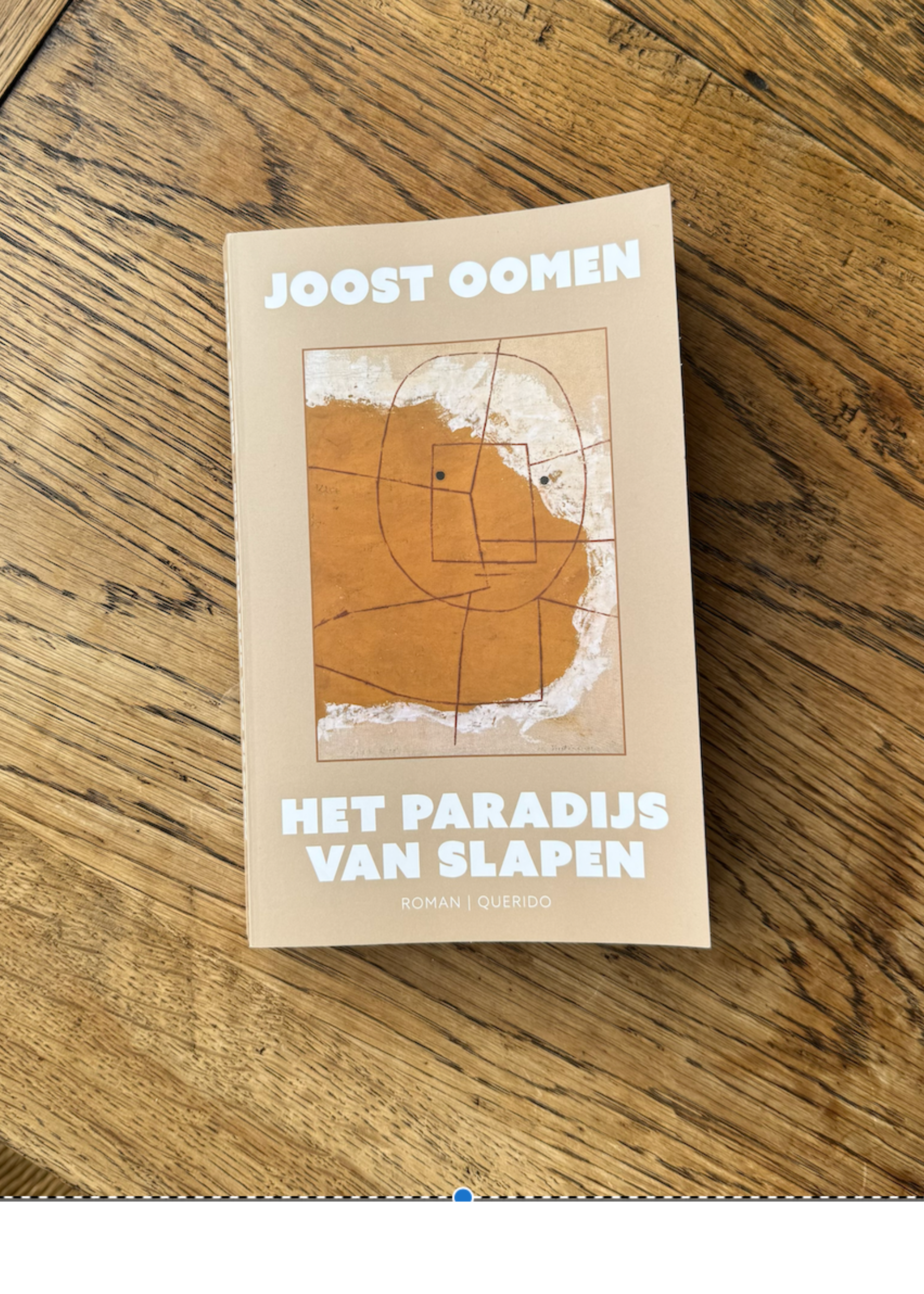 Een foto van het boek. Het is een bruin boek met een vierkant waarin een tekening van een giraffe staat. Daarboven staat in witte letters 'JOOST OOMEN' en eronder staat in dezelfde witte letters 'HET PARADIJS VAN SLAPEN'