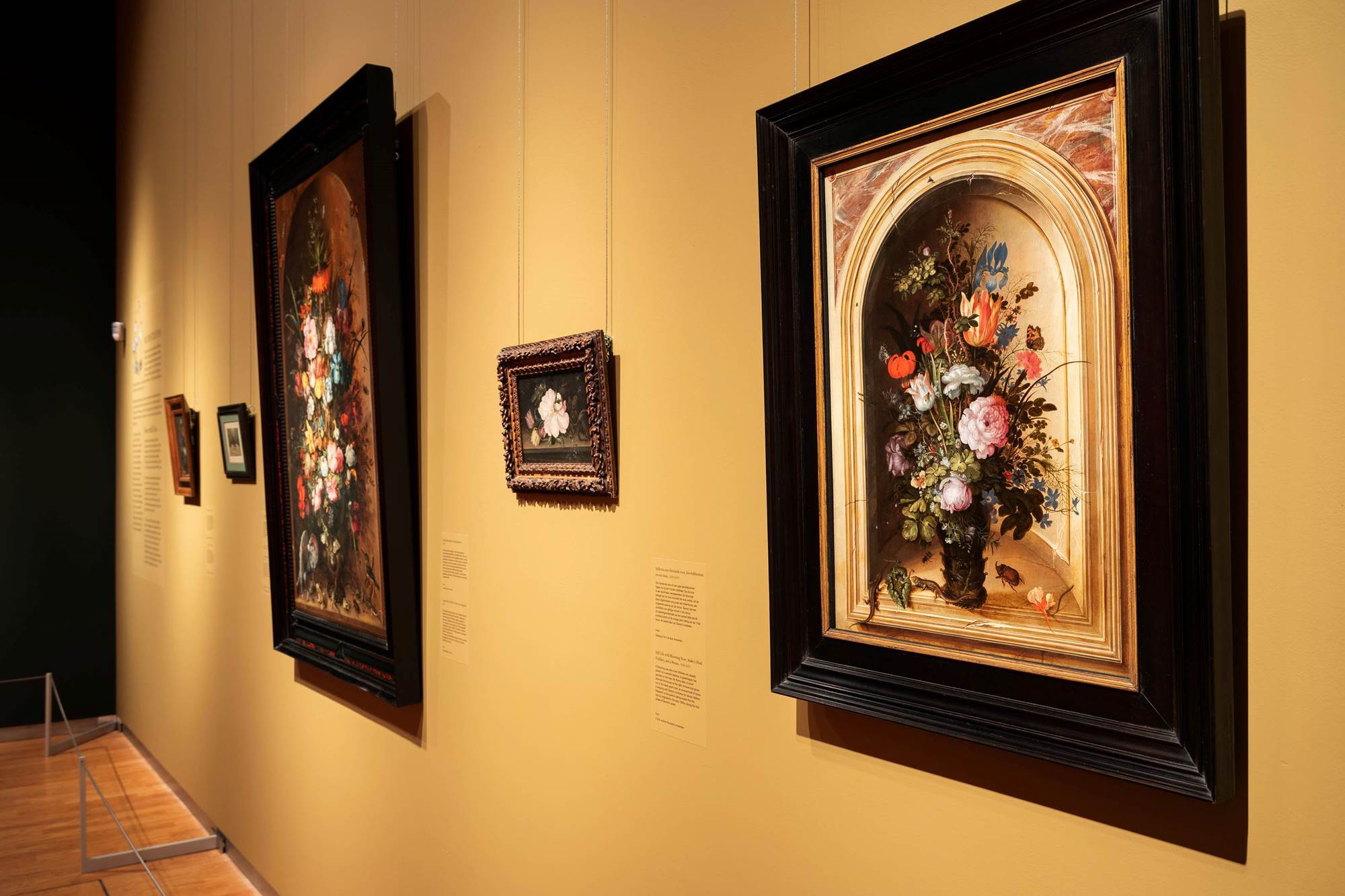 Mauritshuis roelant savery 01